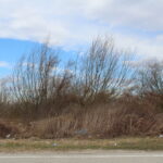 Przeprawa promowa łącząca województwo świętokrzyskie z małopolskim / Marta Gajda / Radio Kielce