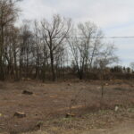 Przeprawa promowa łącząca województwo świętokrzyskie z małopolskim / Marta Gajda / Radio Kielce