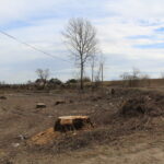 Przeprawa promowa łącząca województwo świętokrzyskie z małopolskim / Marta Gajda / Radio Kielce