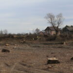 Przeprawa promowa łącząca województwo świętokrzyskie z małopolskim / Marta Gajda / Radio Kielce