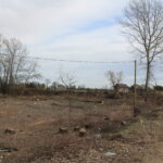 Przeprawa promowa łącząca województwo świętokrzyskie z małopolskim / Marta Gajda / Radio Kielce