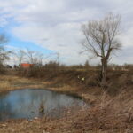 Przeprawa promowa łącząca województwo świętokrzyskie z małopolskim / Marta Gajda / Radio Kielce