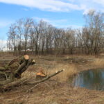 Przeprawa promowa łącząca województwo świętokrzyskie z małopolskim / Marta Gajda / Radio Kielce