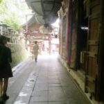 Japonia / Katarzyna Barwicka i Małgorzata Kucz