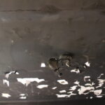 Pożar budynku mieszkalnego w miejscowości Czarnocin / Marta Gajda / Radio Kielce