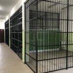 Sandomierz. Otwarcie warsztatów w Zespole Szkół Centrum Kształcenia Rolniczego / Grażyna Szlęzak - Wójcik / Radio Kielce