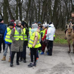 Jędrzejów. I Jędrzejowski Marsz Imieninowy Józefa Piłsudskiego / Ewa Pociejowska-Gawęda / Radio Kielce