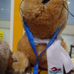 Jędrzejów. VI Ogólnopolski Nocny Maraton Pływacki „Otyliada” / Ewa Pociejowska-Gawęda / Radio Kielce