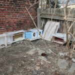 Sprzątanie domków dla kotów przy ulicy Ceglanej / Marzena Mąkosa / Radio Kielce