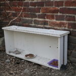 Sprzątanie domków dla kotów przy ulicy Ceglanej / Marzena Mąkosa / Radio Kielce