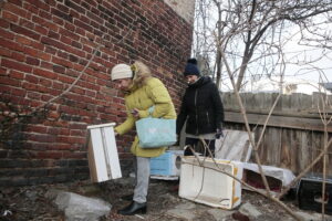 Sprzątanie domków dla kotów przy ulicy Ceglanej / Marzena Mąkosa / Radio Kielce