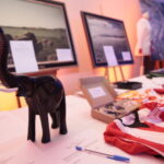 Bal Filantropów / Marzena Mąkosa / Radio Kielce