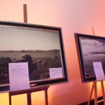 Bal Filantropów / Marzena Mąkosa / Radio Kielce