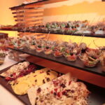 Bal Filantropów / Marzena Mąkosa / Radio Kielce