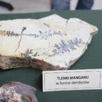 Giełda minerałów w KCK / Marzena Mąkosa / Radio Kielce