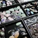 Giełda minerałów w KCK / Marzena Mąkosa / Radio Kielce