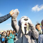 I Gody Morsów w Lasocinie / Marzena Mąkosa / Radio Kielce