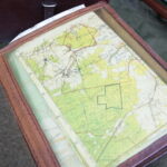 Bieg Pamięci Żołnierzy Wyklętych. Bieg Tropem Wilczym / Marzena Mąkosa / Radio Kielce