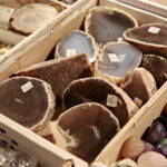 Giełda minerałów w Kieleckim Centrum Kultury / Marzena Mąkosa / Radio Kielce