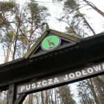 Święta Katarzyna. Ścieżka rowerowa śladami kolejki wąskotorowej. Puszcza jodłowa  / Marzena Mąkosa / Radio Kielce