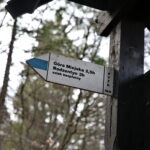 Święta Katarzyna. Ścieżka rowerowa śladami kolejki wąskotorowej / Marzena Mąkosa / Radio Kielce