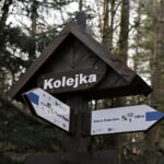 Święta Katarzyna. Ścieżka rowerowa śladami kolejki wąskotorowej. Kolejka / Marzena Mąkosa / Radio Kielce