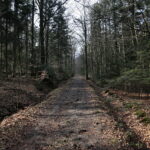 Święta Katarzyna. Ścieżka rowerowa śladami kolejki wąskotorowej / Marzena Mąkosa / Radio Kielce