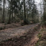 Święta Katarzyna. Ścieżka rowerowa śladami kolejki wąskotorowej / Marzena Mąkosa / Radio Kielce