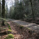 Święta Katarzyna. Ścieżka rowerowa śladami kolejki wąskotorowej / Marzena Mąkosa / Radio Kielce