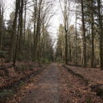 Święta Katarzyna. Ścieżka rowerowa śladami kolejki wąskotorowej / Marzena Mąkosa / Radio Kielce