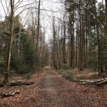 Święta Katarzyna. Ścieżka rowerowa śladami kolejki wąskotorowej / Marzena Mąkosa / Radio Kielce