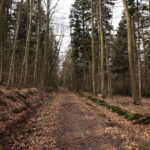 Święta Katarzyna. Ścieżka rowerowa śladami kolejki wąskotorowej / Marzena Mąkosa / Radio Kielce