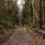 Święta Katarzyna. Ścieżka rowerowa śladami kolejki wąskotorowej / Marzena Mąkosa / Radio Kielce