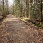 Święta Katarzyna. Ścieżka rowerowa śladami kolejki wąskotorowej / Marzena Mąkosa / Radio Kielce