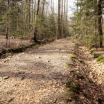 Święta Katarzyna. Ścieżka rowerowa śladami kolejki wąskotorowej / Marzena Mąkosa / Radio Kielce