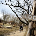 Skansen w Tokarni / Marzena Mąkosa / Radio Kielce