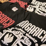 Koncert zespołu Hungarica w Wojewódzkim Domu Kultury / Marzena Mąkosa / Radio Kielce