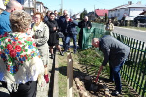 Akcja zasadzenia 100 krzewów kaliny. W sadzeniu kaliny pomaga radny powiatowy Marek Bilski / Emilia Sitarska / Radio Kielce