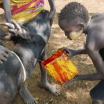 Etiopia południowa / Danuta Rasała i Sławomir Skowron