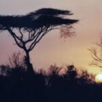 Etiopia południowa / Danuta Rasała i Sławomir Skowron