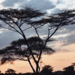 Etiopia południowa / Danuta Rasała i Sławomir Skowron