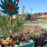 Sadzenie kalin w Nietulisku w gminie Kunów / Emilia Sitarska / Radio Kielce