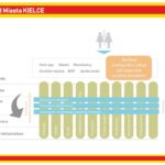 Kielce. Reorganizacja Urzędu Miasta Kielce - schemat / Urząd Miasta Kielce