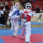 VIII Mistrzostwa Gór Świętokrzyskich w Ostrowcu Świętokrzyskim. Walki taekwondo / Emilia Sitarska / Radio Kielce