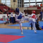 VIII Mistrzostwa Gór Świętokrzyskich w Ostrowcu Świętokrzyskim. Walki taekwondo / Emilia Sitarska / Radio Kielce