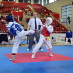 VIII Mistrzostwa Gór Świętokrzyskich w Ostrowcu Świętokrzyskim. Walki taekwondo / Emilia Sitarska / Radio Kielce
