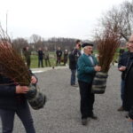 Inauguracja akcji sadzenia lip w powiecie opatowskim / Emilia Sitarska / Radio Kielce