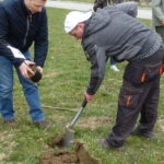 Inauguracja akcji sadzenia lip w powiecie opatowskim / Emilia Sitarska / Radio Kielce