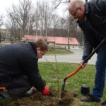 Inauguracja akcji sadzenia lip w powiecie opatowskim / Emilia Sitarska / Radio Kielce