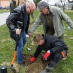 Inauguracja akcji sadzenia lip w powiecie opatowskim / Emilia Sitarska / Radio Kielce